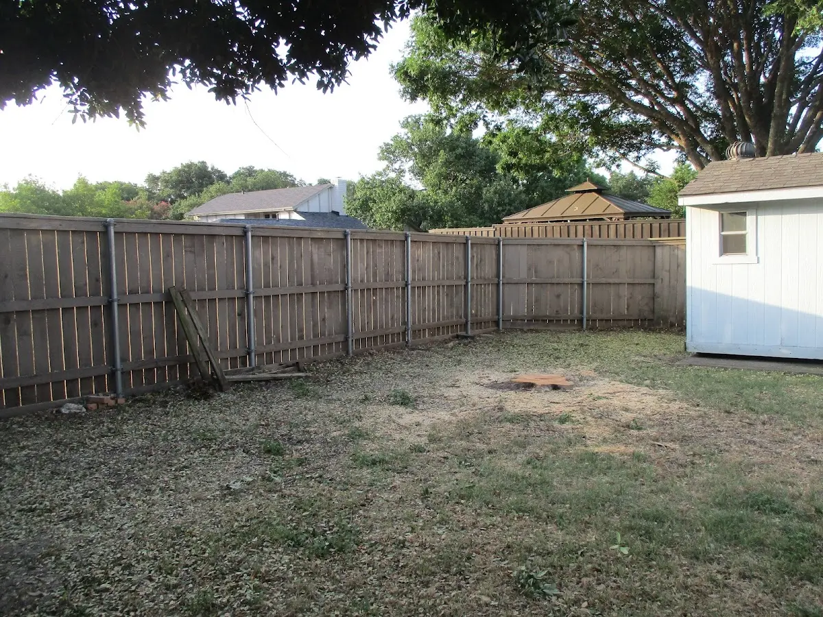Cleared yard after professional tree removal in Cheshire